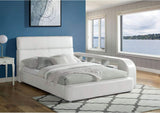 CM7513-CONF Vodice Bed