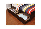 CM7517CH-TR Brogan Trundle