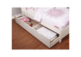 CM7517WH-TR Brogan Trundle