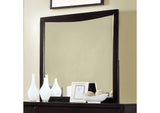 Snyder Mirror