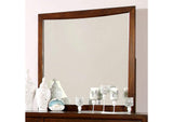 Snyder Mirror