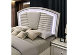 CM7899-CONF Maddie Bed