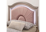 CM7901RG-CONF Allie Bed