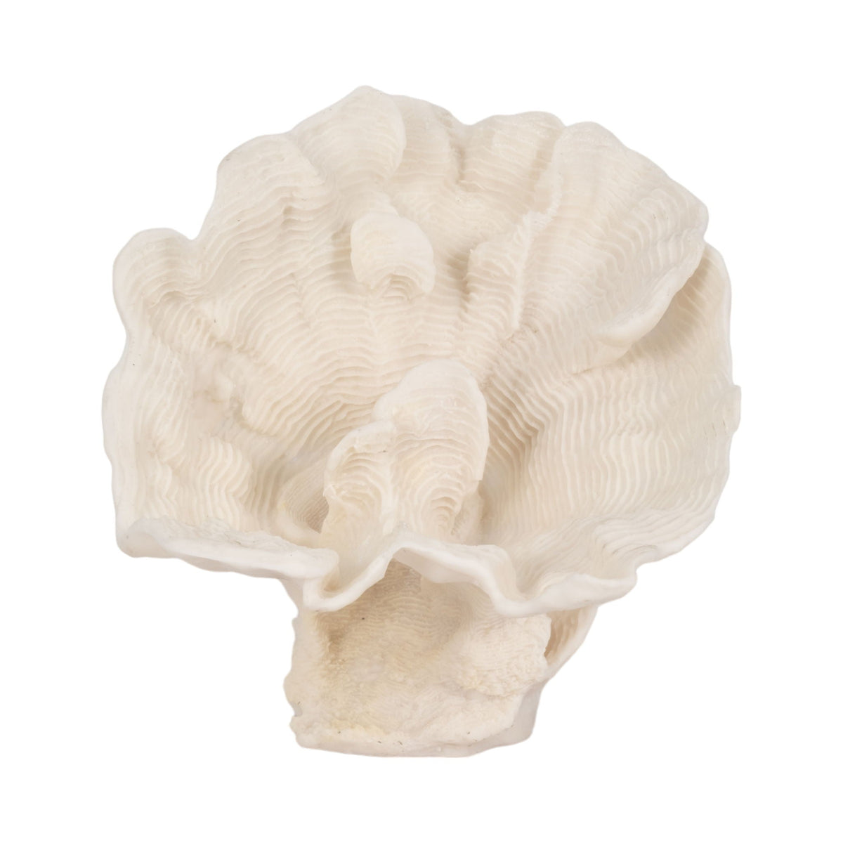 12" Coral Fan Decor - Ivory