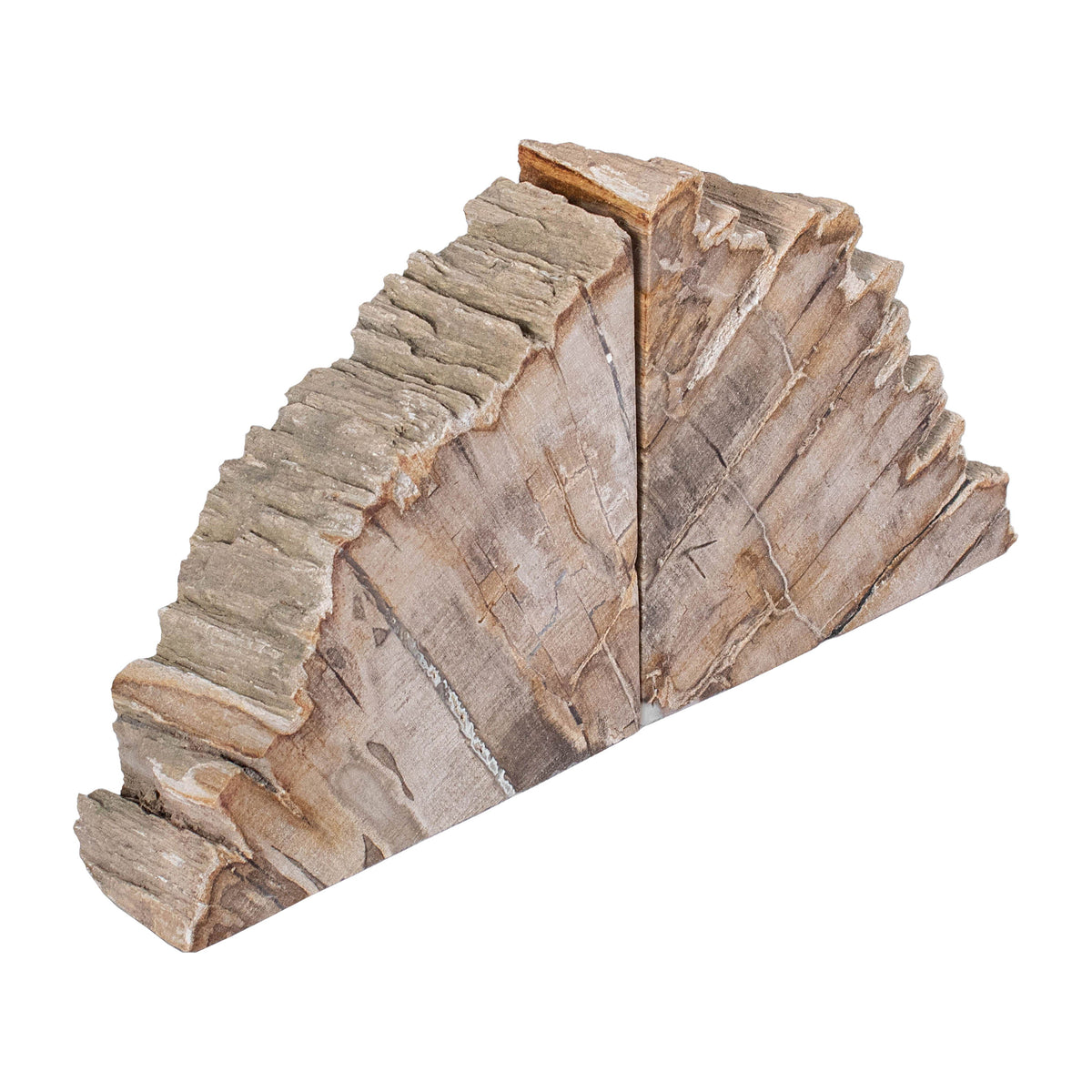 Petrified Wood Bookends - Natural
