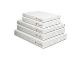 DM-Combo-T-XL-6 Daisy 8" Full Size