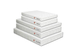 DM-Combo-F-6 Daisy 6" Full Size