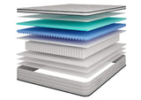 DM2112-CK Salvia 12" Cal.King Hybrid Pocket Coil Mattress