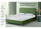 DM540-Q Artemisia 12" Memory Foam Mattress