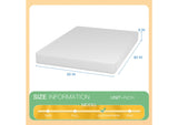 DM708-Q Forsythia 8" Queen Green Tea Gel Memory Foam
