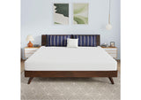 DM808-EK Nasturtium 8" E.King Bamboo Charcoal Infused Memory Foam