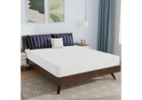 DM808-Q Nasturtium 8" Queen Bamboo Charcoal Infused Memory Foam