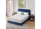 Catmint Mattress