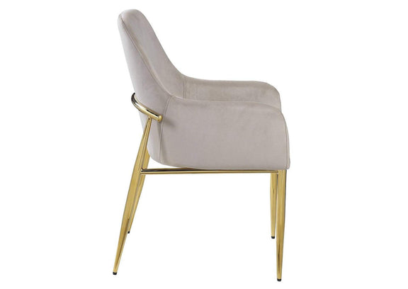 DN00220 Barnard Side Chair - Set of 2