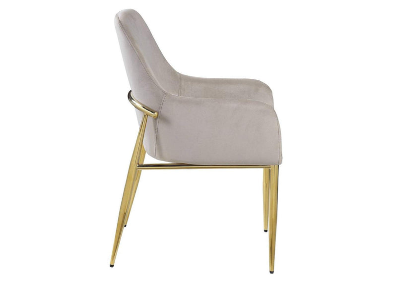 DN00220 Barnard Side Chair - Set of 2