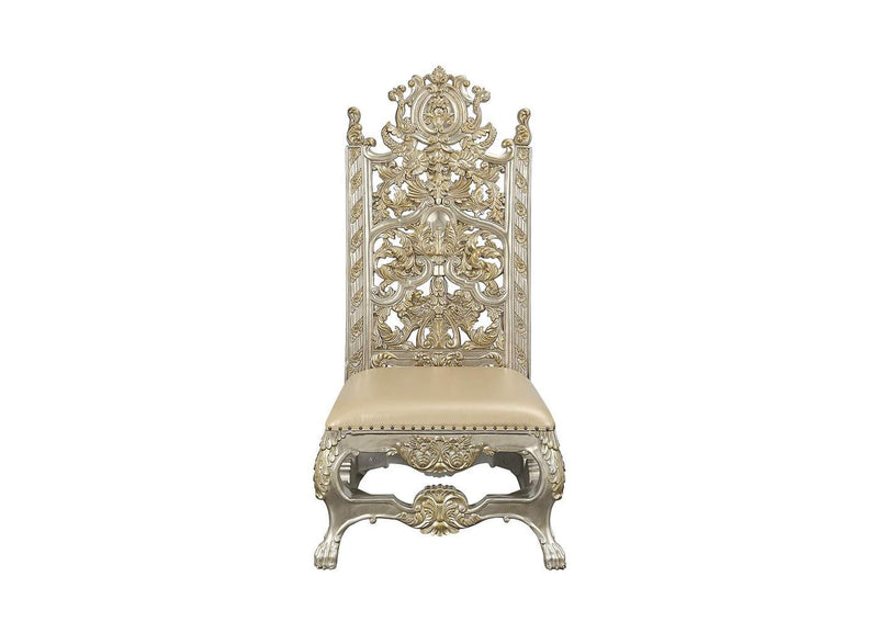DN01198 Danae Side Chair - Set of 2