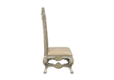 DN01198 Danae Side Chair - Set of 2