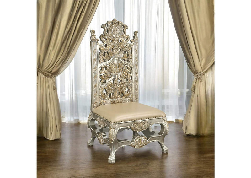 DN01198 Danae Side Chair - Set of 2