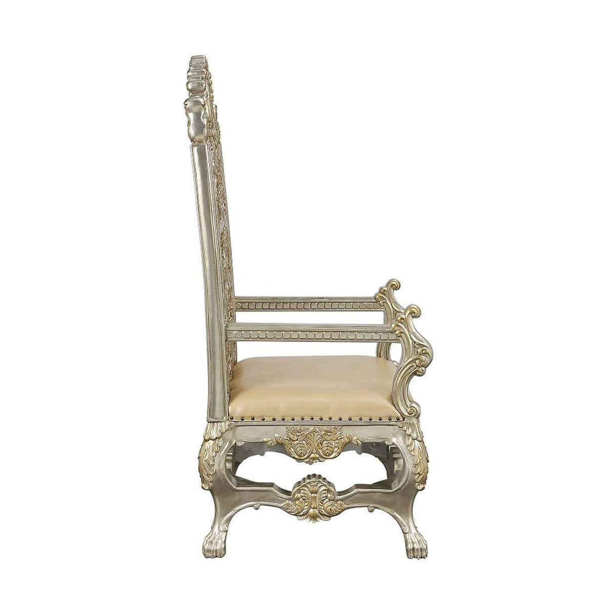 DN01199 Danae Arm Chair - Set of 2