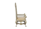 DN01199 Danae Arm Chair - Set of 2