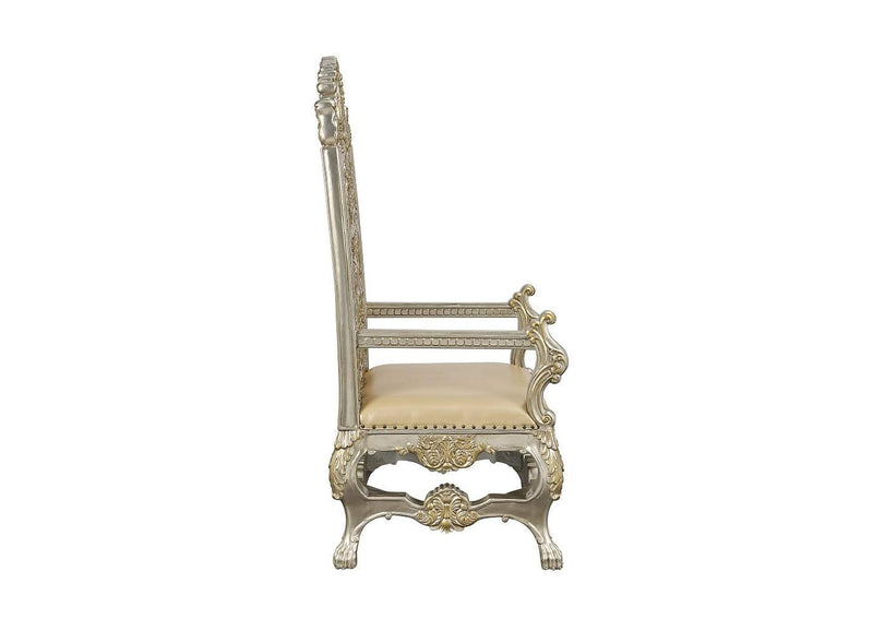 DN01199 Danae Arm Chair - Set of 2