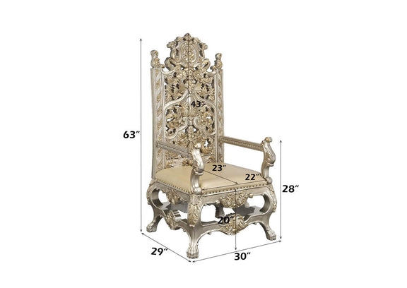 DN01199 Danae Arm Chair - Set of 2
