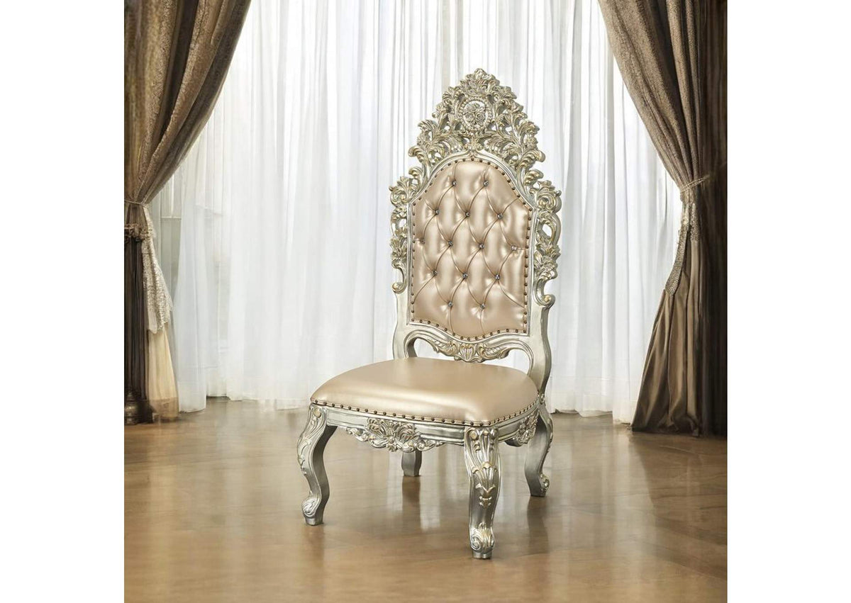 DN01209 Sorina Side Chair - Set of 2