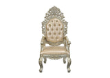 DN01210 Sorina Arm Chair - Set of 2