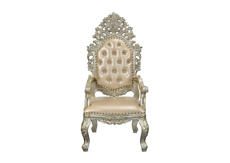 DN01210 Sorina Arm Chair - Set of 2