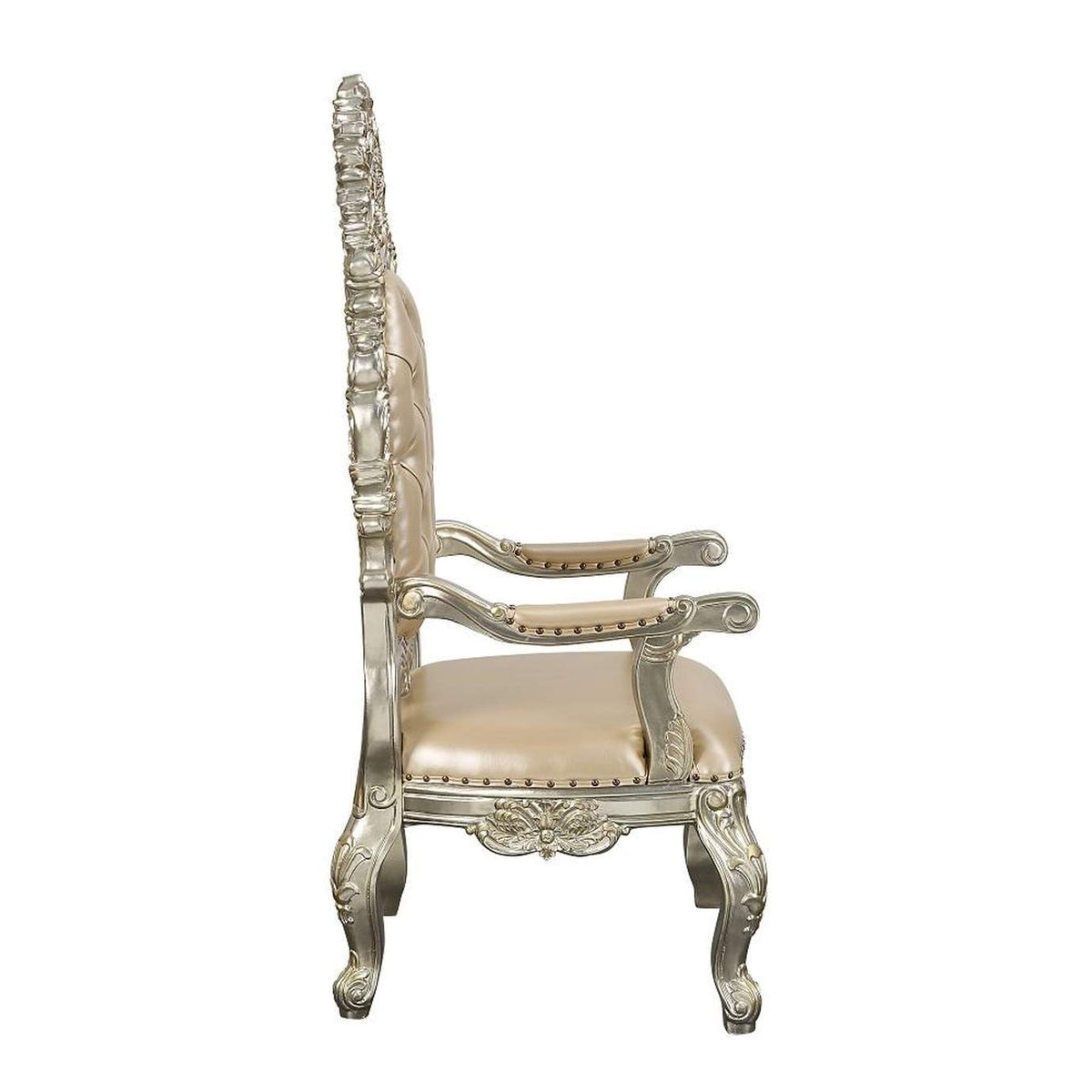 DN01210 Sorina Arm Chair - Set of 2