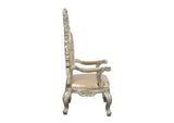 DN01210 Sorina Arm Chair - Set of 2