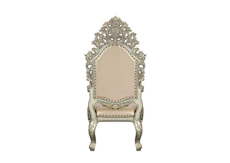 DN01210 Sorina Arm Chair - Set of 2