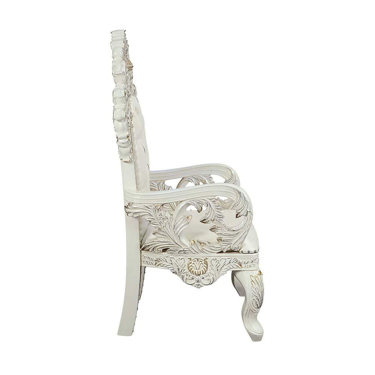 DN01231 Adara Arm Chair - Set of 2