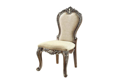 DN01358 Latisha Side Chair - Set of 2