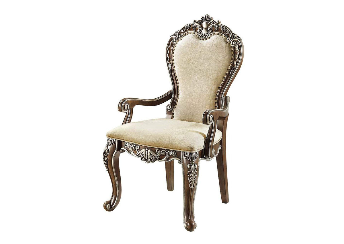 DN01359 Latisha Arm Chair - Set of 2