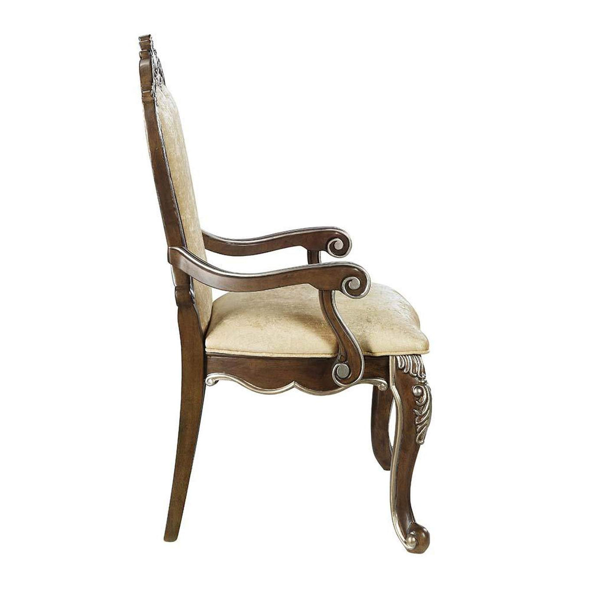DN01359 Latisha Arm Chair - Set of 2