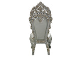 DN01495 Sandoval Side Chair - Set of 2