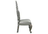 DN01495 Sandoval Side Chair - Set of 2