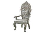 DN01496 Sandoval Arm Chair - Set of 2