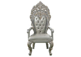 DN01496 Sandoval Arm Chair - Set of 2