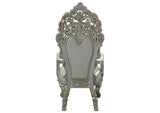 DN01496 Sandoval Arm Chair - Set of 2