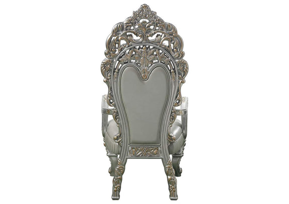 DN01496 Sandoval Arm Chair - Set of 2