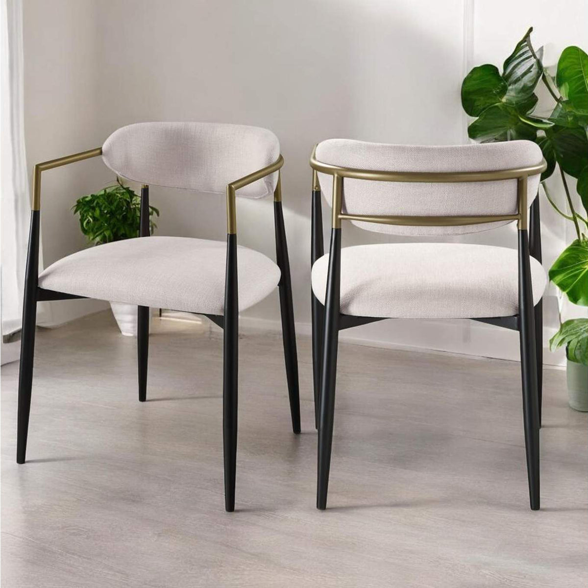 DN02142 Jaramillo Arm Chair - Set of 2