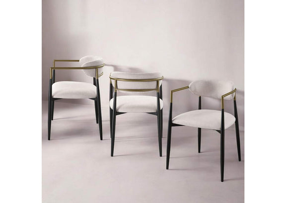 DN02142 Jaramillo Arm Chair - Set of 2