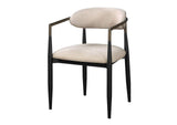 DN02142 Jaramillo Arm Chair - Set of 2