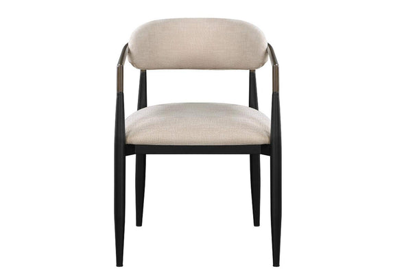 DN02142 Jaramillo Arm Chair - Set of 2