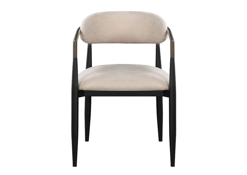 DN02142 Jaramillo Arm Chair - Set of 2