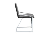 DN02235 Zlatan Side Chair - Set of 2