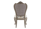 DN02282 Ariadne Side Chair - Set of 2