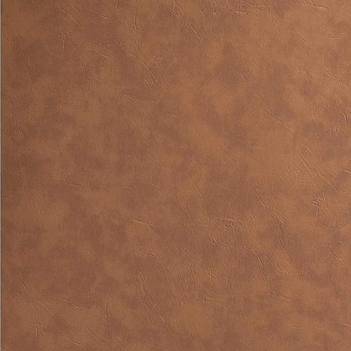 DN02308 Ginny Side Chair - Set of 2
